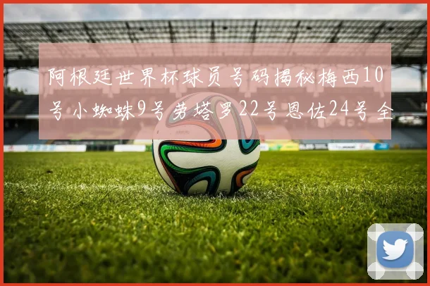 阿根廷世界杯球员号码揭秘梅西10号小蜘蛛9号劳塔罗22号恩佐24号全解析